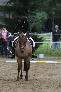 Bild 270 - WBO-Turnier am 18.9.11